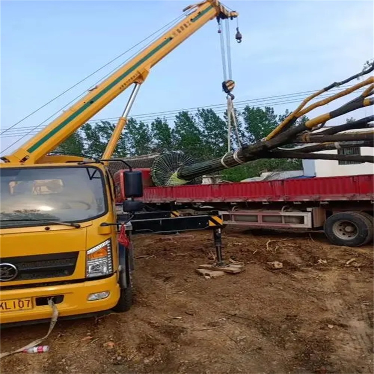 杨林尾镇100吨吊车租赁费用怎么算？3大关键因素+省钱技巧全解析